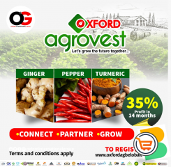Enjoy Great Success by Investing with OXFORD AGROVEST - Pepper, Ginger and Tumeric Farming